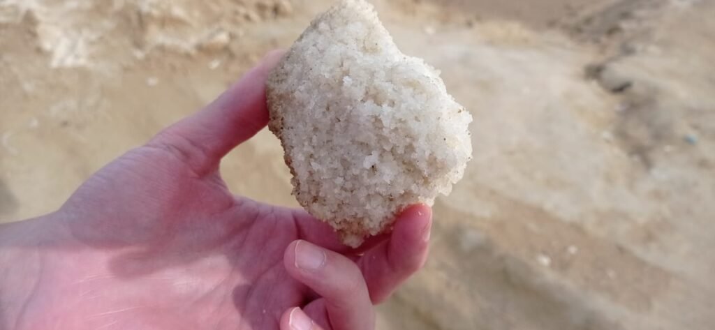 guajira