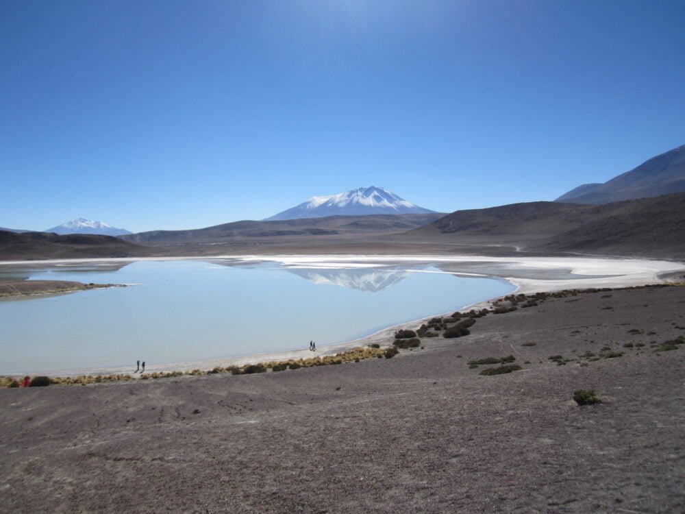 altiplano boliviano