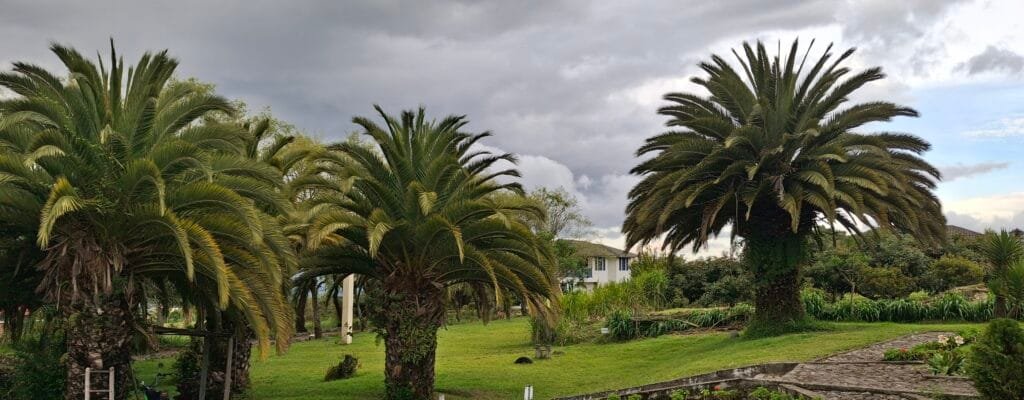 hotel otavalo casa hacienda real