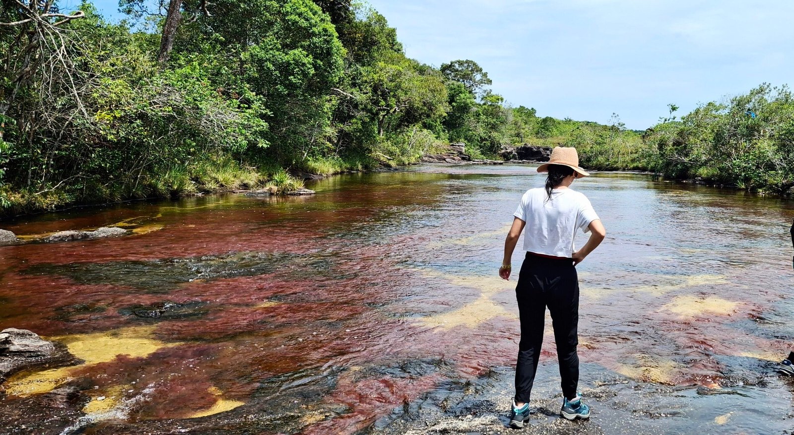 caño cristales